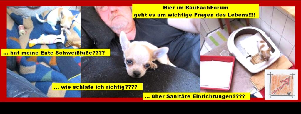 Das Tierische Orakel im BauFachForum: Warum nach Schopenhauer Bildung niemals den natürlichen Verstand am Bau ersetzen kann.