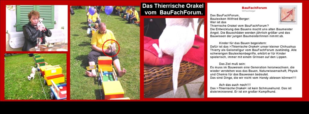 Das Thierrische Orakel für die Bauaufklärung der Kinder: Kindern das Bauen näher bringen mit dem BauFachForum: