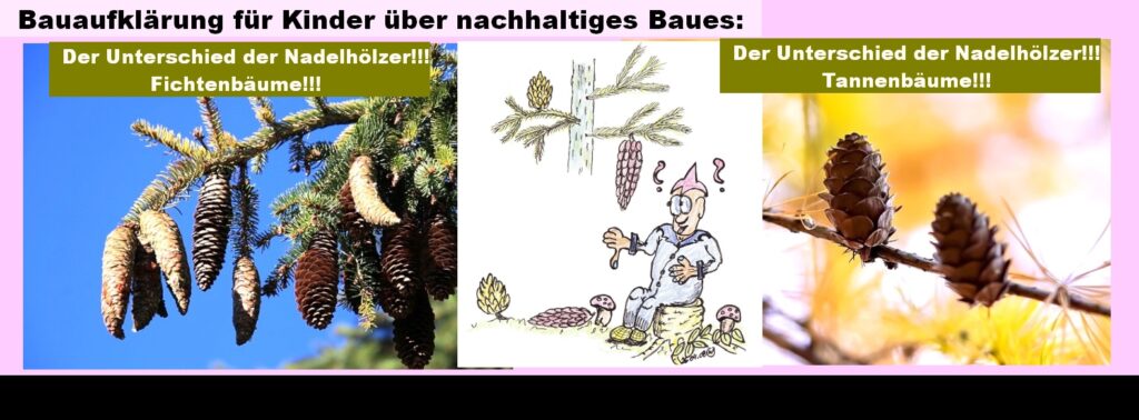 Bauaufklärung für Kinder oder wussten Sie das: Der ewige Irrtum!!!