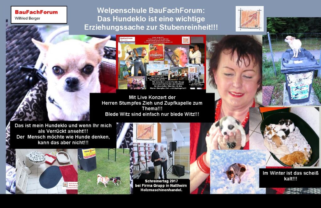 Hundeklo Hunde Welpenausbildung, Lehrstellenbörse die Ausbildungsseite vom BauFachForum Wilfried Berger: Herr/Frau Mama Bär!!! Hundeklo Hunde Welpenausbildung, Lehrstellenbörse die Ausbildungsseite vom BauFachForum Wilfried Berger: Hundeklo oder Politik?