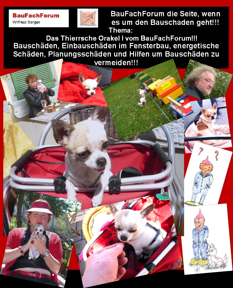 Hör – und Sehprobe BauFachForum die Seite des Bauschadens.
Thema: Das Thierrische Orakel I:
Reinhold und Wilfried Berger war schnell klar, dass die Bauschäden-Vermeidung nicht für andere Menschen gelehrt werden kann ohne, dass der trockene Stoff auch seinen Spaß fordert. Denn der Bauschaden ist für die Geschädigten eine psychische und finanzielle Herausforderung. Und die Bauprozesse dauern in der Regel zwischen drei und zehn Jahre. Dabei werden die Geschädigten meist so zermürbt, dass sie faule Verlust-Vergleiche eingehen. Denn mit jedem Jahr und jeder Instanz wird das Kostenrisiko immer größer. Daher viel die Entscheidung dazu einen treuen Mitarbeiter und Freund einzustellen. Mit dem Thierry, dem kleinen Chihuahua, war damit der richtige Partner gefunden um auch Kindern das Bauen mit Physik und Chemie näher zu bringen. Das Thierrische Orakel I, war dabei als Diabetikerhund ausgebildet um Silvia Schanz vor dem Diabetes-Choma in der Nacht zu schützen.
Gleichfalls suchte er bei Bauschäden Pilz und Schimmel. Bleibt gespannt auf den nächsten Teil.
Begriffe zum Thema Chihuahua:
BauFachForum die Seite des Bauens, Mini, Langhaar, Spitz, Blue, Ausgewachsen, Wasserkopf, Tan, weiß, braun, Schoko, Merle, Papillon, Schwarz weiß, BauFachForum, Baulexikon Wilfried Berger.
Einfach das Bild anklicken und Ihr kommt auf passende Videos vom BauFachForum. Dazu verlässt Ihr das BauFachForum und Ihr kommt auf unseren YouTube-Kanal vom BauFachForum. Wenn euch ein Shorts zusagt, könnt Ihr zum ausführlichen Thema weiterklicken.
Erschöpfende Auskünfte findet Ihr in der Skandalzeitung vom BauFachForum Wilfried Berger.
Videoproduktion: BauFachForum, Baulexikon Wilfried Berger.
www.baufachforum.de